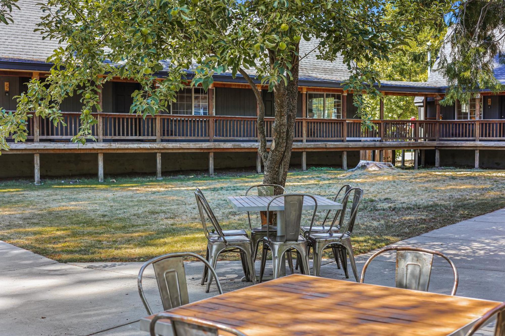 Shasta View Lodge McCloud Bagian luar foto